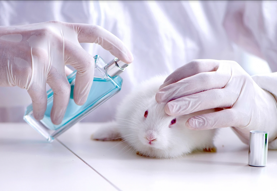 Save Ralph: An exposé of animal testing