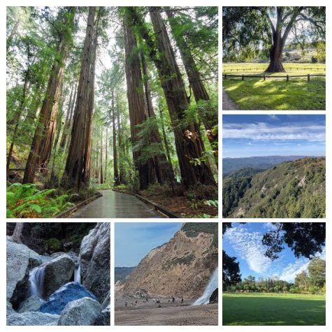 Photo courtesy of National Park Service, Visit Silicon Valley, AllTrails, Golden Gate National Parks Conservancy, Aoibhe Walczak | The Phoenix
