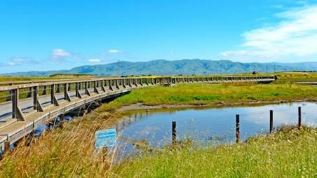 Photo courtesy of Santa Clara County Parks