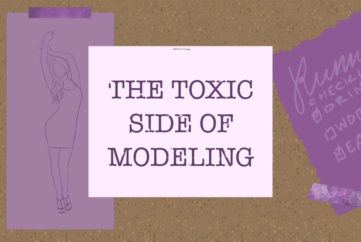 The+toxic+side+of+modeling